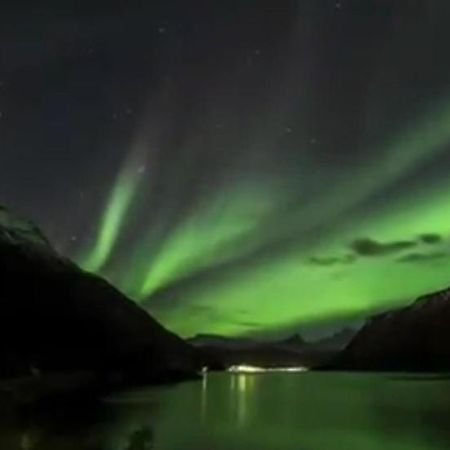 Koselig Leilighet I Narvik Sentrum 5 Soveplasser Gratis Parkering Og Gratis Internett 外观 照片