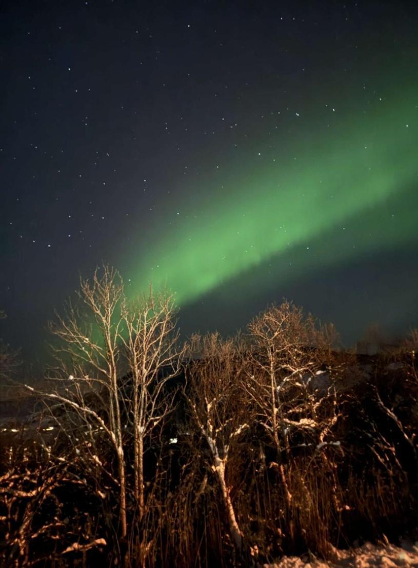Koselig Leilighet I Narvik Sentrum 5 Soveplasser Gratis Parkering Og Gratis Internett 外观 照片