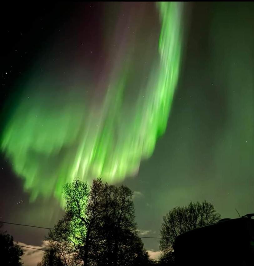 Koselig Leilighet I Narvik Sentrum 5 Soveplasser Gratis Parkering Og Gratis Internett 外观 照片