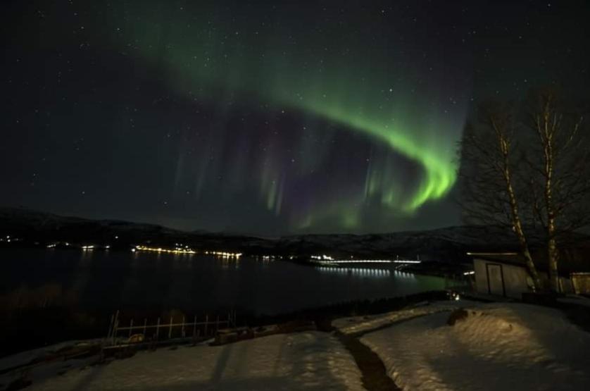 Koselig Leilighet I Narvik Sentrum 5 Soveplasser Gratis Parkering Og Gratis Internett 外观 照片
